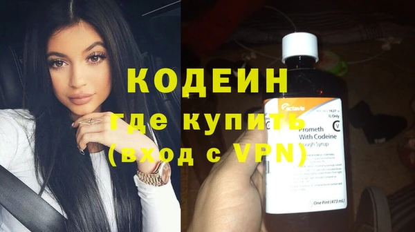 прущие грибы Михайловка