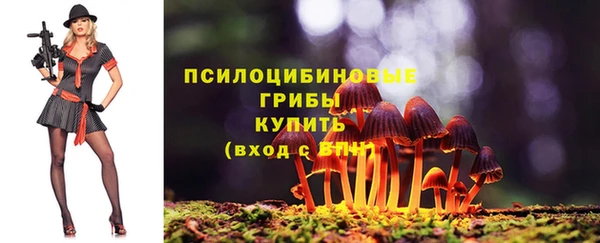 прущие грибы Михайловка