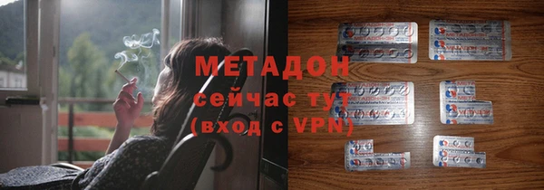 прущие грибы Михайловка