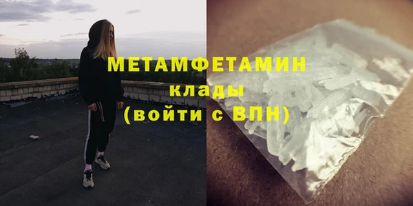 прущие грибы Михайловка