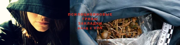 дурь Михайловск